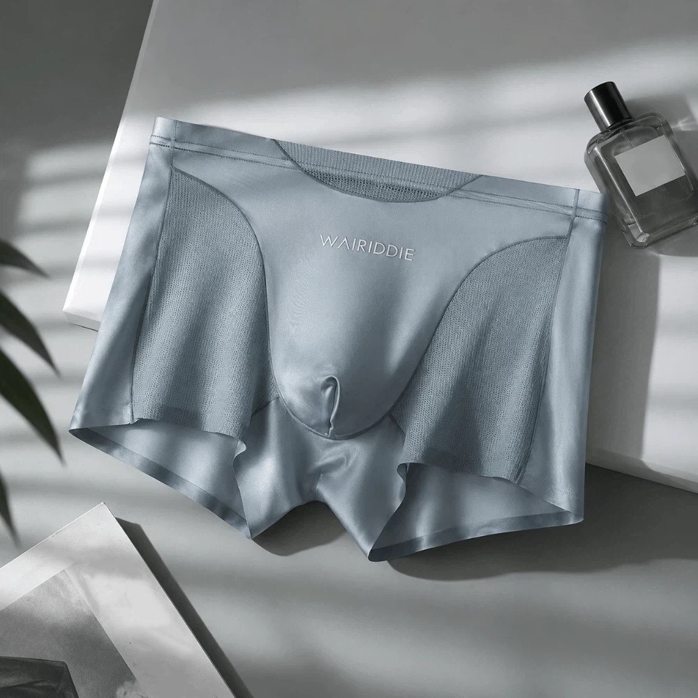 Simple Mesh Ice Silk Underwear - Mesh Sport Boxer review and price